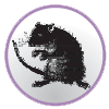 bugs_09.png