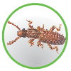 bugs_16.png