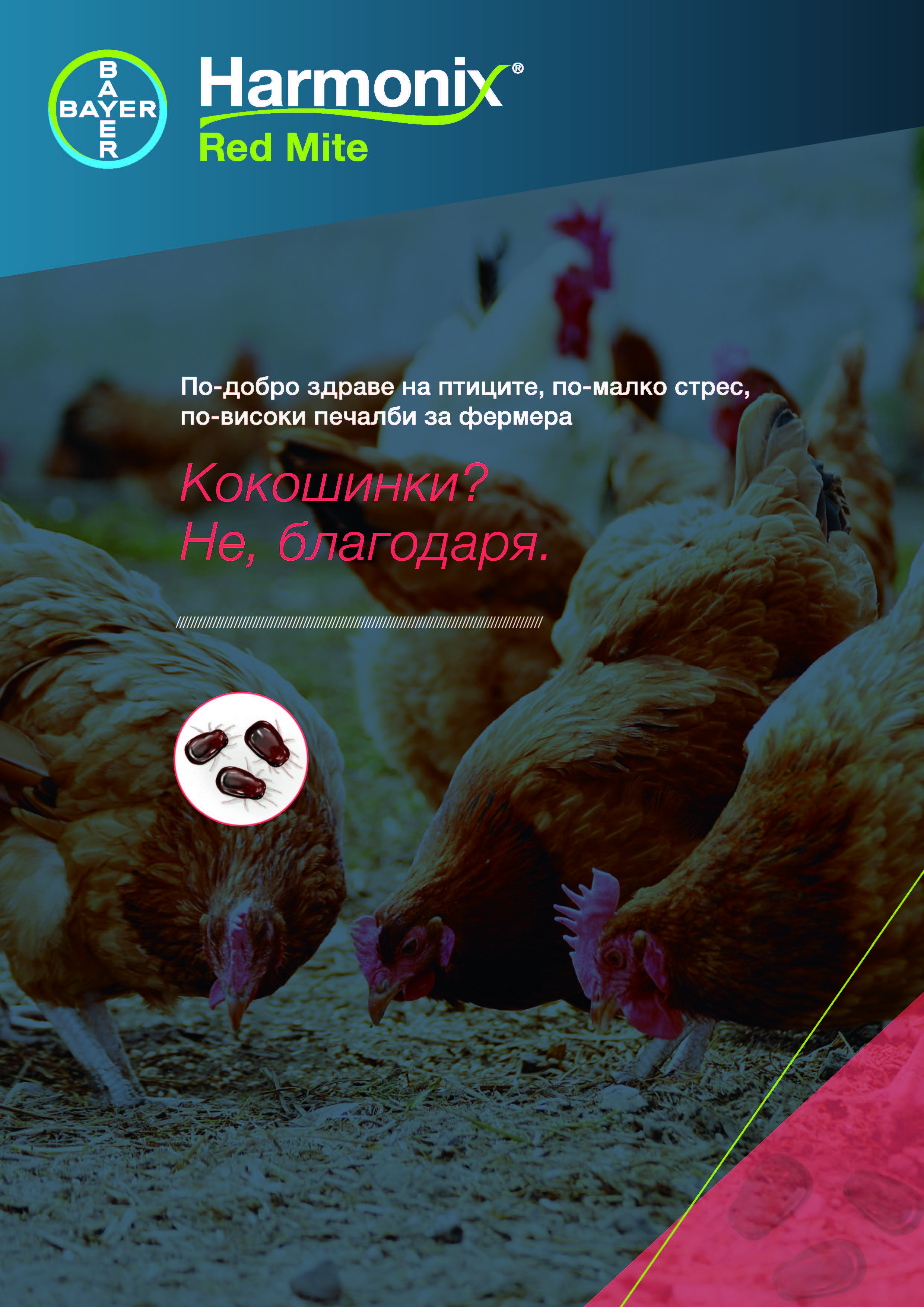 Препарат за борба с кокошинки